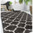 Delaili Moroccan Indoor Rug-1605632967