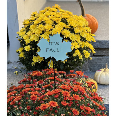 Decorative Accent