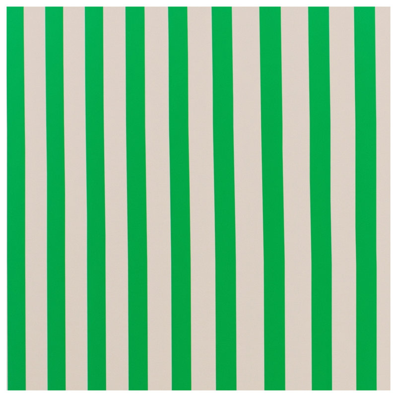 Green White Vertical Stripes Blankets, 50in W x 60in H