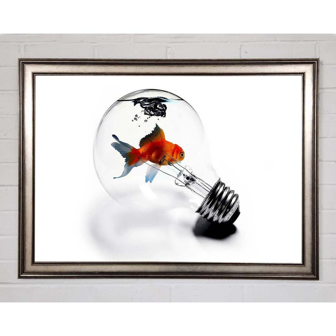 Gerahmtes Leinwandbild Goldfish Light Bulb