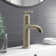 Gibson Single Hole Bathroom Faucet with Drain Assembly