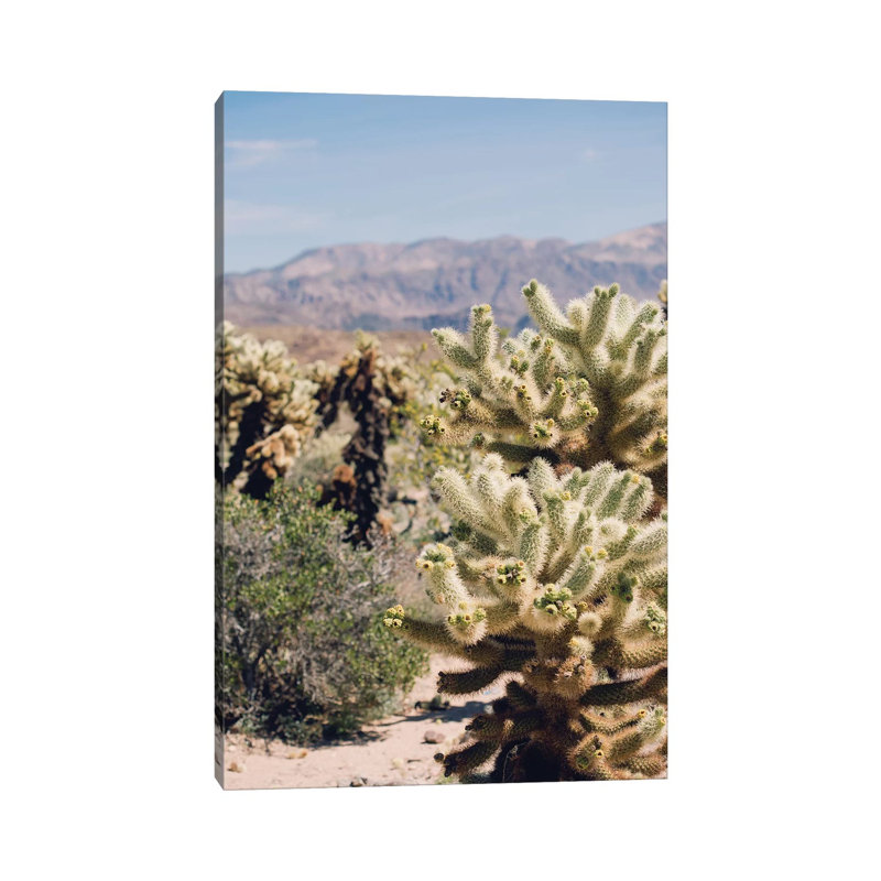 Cholloa Cactus Garden by Ann Hudec - Wrapped Canvas Print, 20.32 cm H x 30.48 cm W