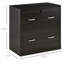 Classeur verrouillable en noyer pour bureau personnel, 2 tiroirs, support de poids de 110 lb, l 29,27 po x P 16,5 po H 27,6 po, armoire de rangement verrouillable, finition, capacité, l 29,27 po x P 16,5 po