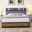 Noir; brun; grand lit gris-405956639