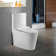 BRABOL  Compact One Piece Toilet 12" Rough-in, Elongated Toilet Floor Mounted Dual Flush 1.1/1.6 GPF & MAP 1000g, Space Saver Design(Seat Included) Optional Color