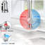 Williston Forge Kitchen Faucet