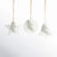 3 Piece Pine Icon Holiday Shaped Ornament Set