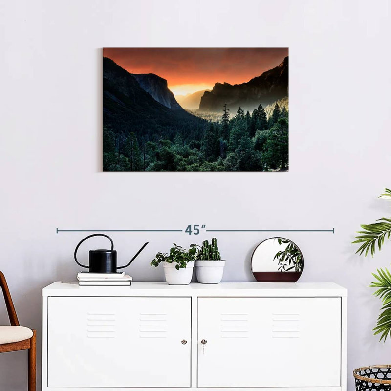 Harnek Forest Last Light, 20" H x 30" W