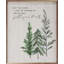 Remplissez vos cœurs arbres blanchis-1115577956