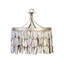 Oyster Shell 4 - Light Pendant