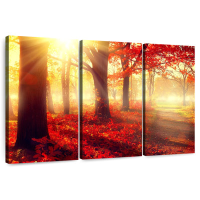 Harnek Sunny Fall Forest