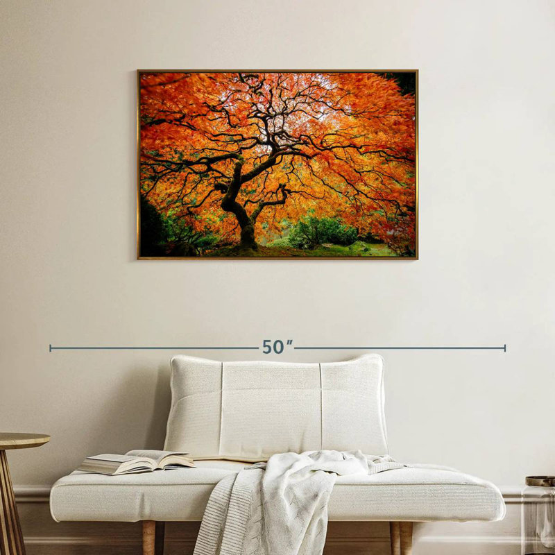 Automne érable japonais, Cadre flottant doré, 37 po x 25 po