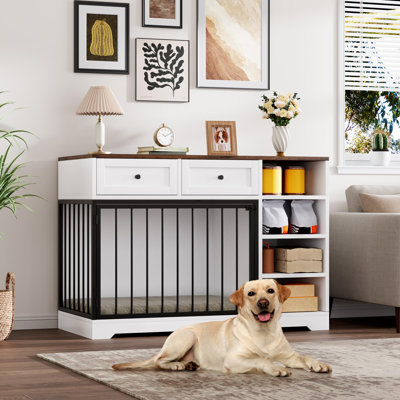 Élégante cage de rangement en bois pour chien de grande taille (119 cm) – Cage d'intérieur avec 2 tiroirs et 4 étagères, meuble télé et canapé pour chiens moyens et grands – Blanc