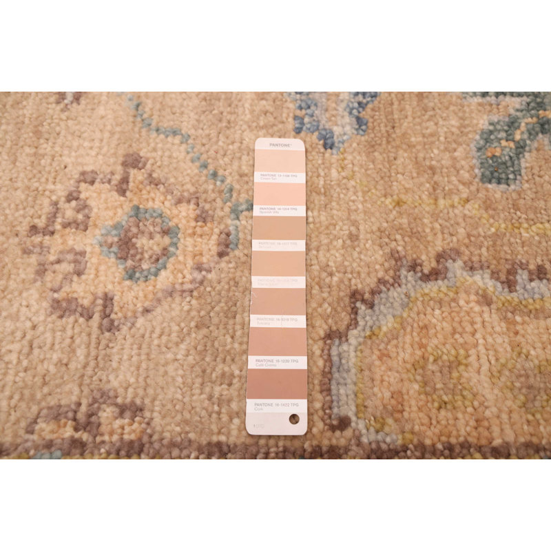 Tapis brun clair Jules 9 pi 1 po x 12 pi 0 po Jules Serapi