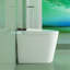 Toilette compacte compacte avec siège de bidet intégré