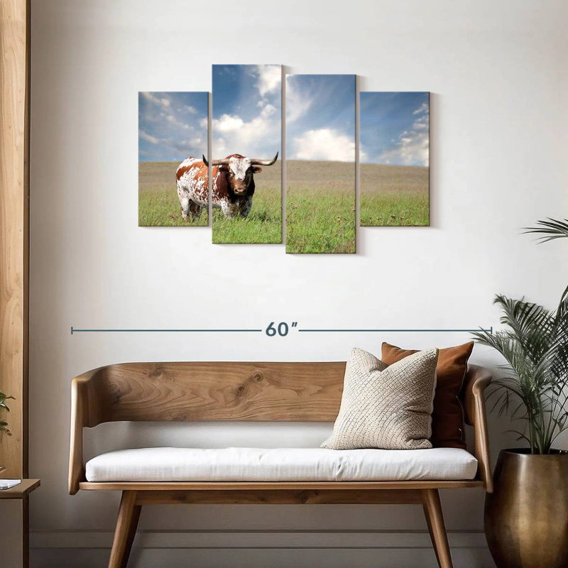 Brampt Oklahoman Texas Longhorn