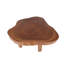 Solid Wood Coffee Table