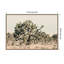  Joshua Tree No. 1 par Alicia Bock, reproduction d'art sur toile encadrée
