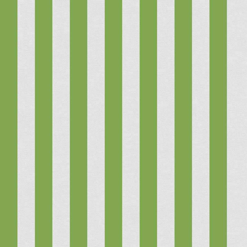 Coussin d'extérieur/intérieur Sunbrella Amala, Rayé blanc / vert