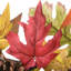 Couronne de tournesols et de citrouilles 32 po The Holiday Aisle®