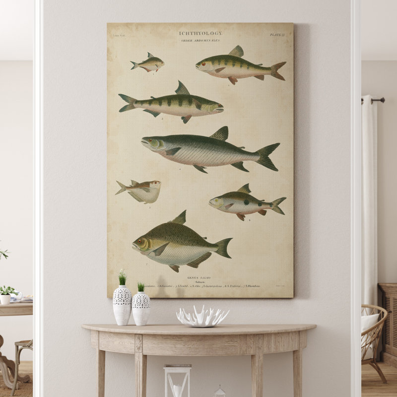 Reproduction d’art sur toile tendue « ichthyology IV », H 48 po x l 32 po x P 1 po