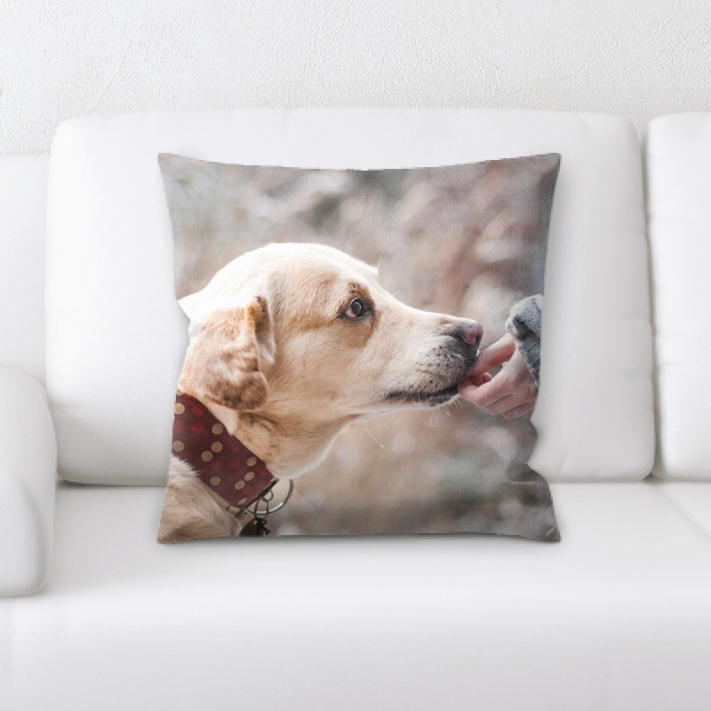 Coussin pour chien