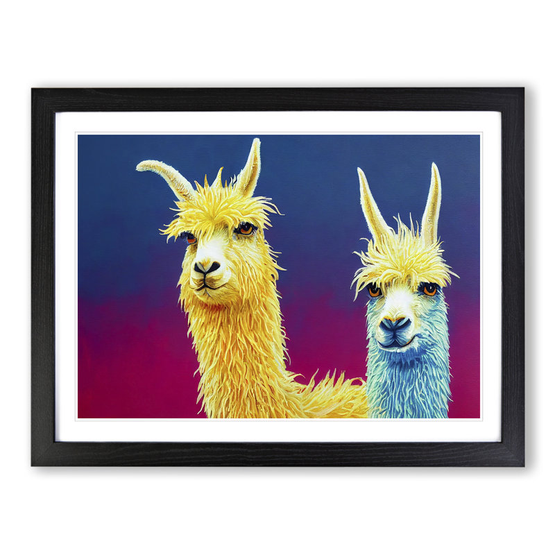 Llama Splash Vol.3 Abstract - Single Picture Frame Print, Black, 46cm H x 64cm W