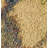 Mckissick Indoor Rug-36058008