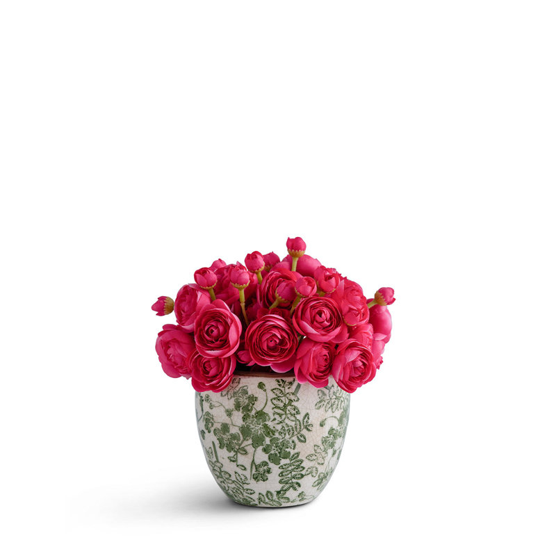 Baby Ranunculus, Pink
