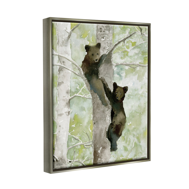 Bear Cubs Climbing Tree Nature - impression, Cadre flottant gris lustré, H 21 po x l 17 po x P 1,7 po
