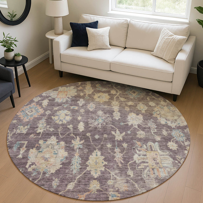 Machine Washable Indoor/Outdoor Francky ACN2355 Traditional Rug, Round 8'
