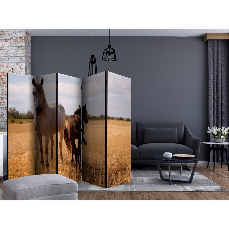 225cm W x 172cm H 5 - Panel  One Sided Room Divider Folding Room Divider