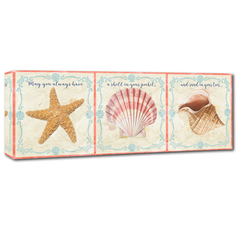 Coquillages de mer, reproduction d’art graphique sur toile tendue, H 10 po x l 32 po x P 2 po