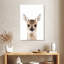 Brampt Cheeky Fawn-108423495