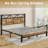 Wykeisha Platform Bed-1159606155-1159606154