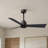Alessandra 42'' Ceiling Fan-1421734451-1421734360