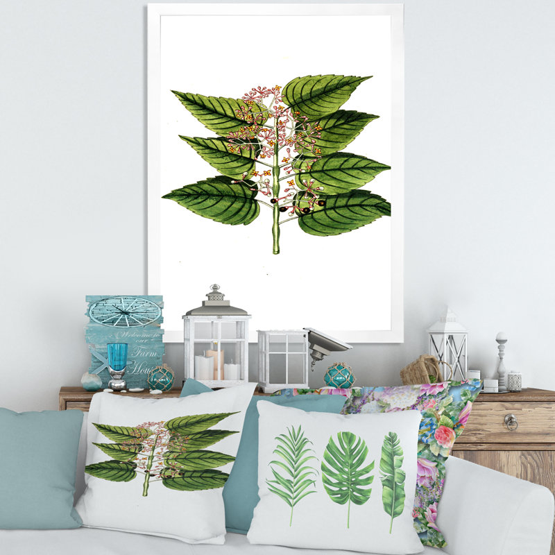 «Vintage Plant Life XXVI», peinture sur toile, Cadre photo blanc, H 40 po x l 30 po x 1,5 po