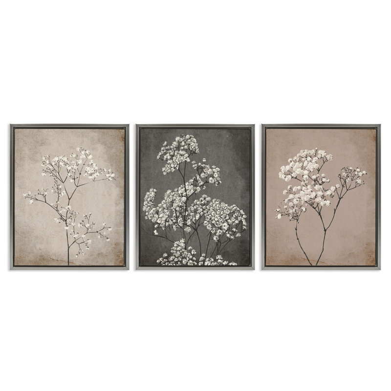 «Botanical Baby's Breath Herbs», ensemble de 3 toiles flottantes encadrées par Ros Ruseva, Cadre flottant gris lustré