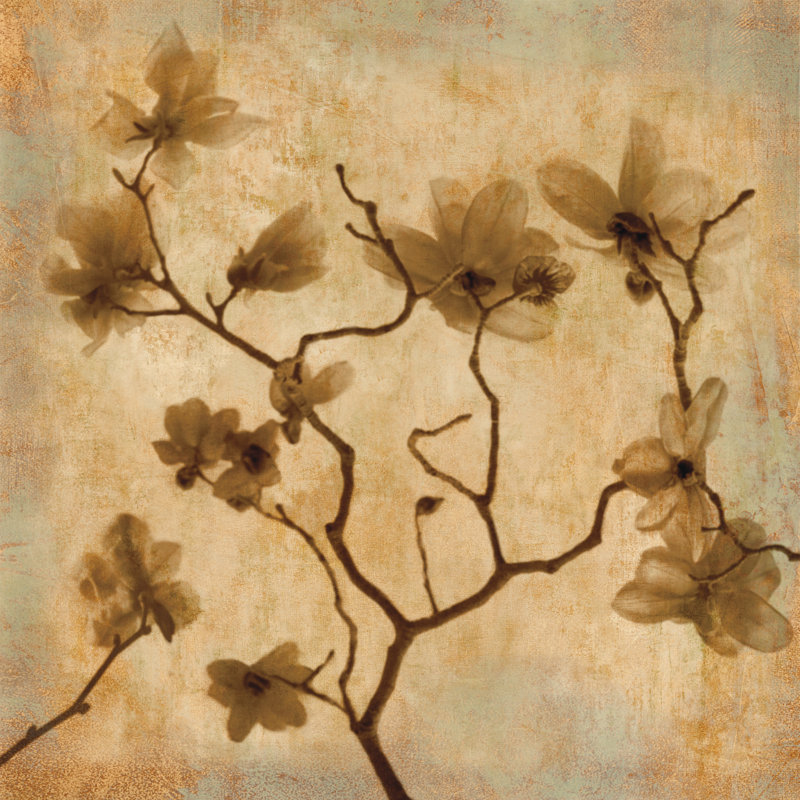 Magnolias I - Wrapped Canvas Print, 30cm H x 30cm W