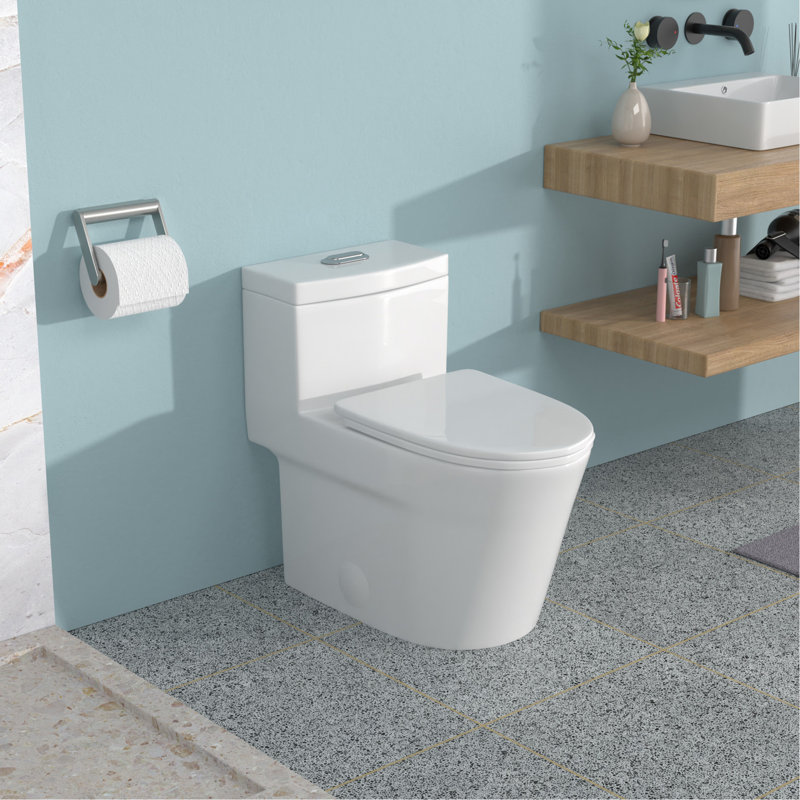 One Piece Ceramic Toilet 12 - Inch Rough In, Dual Flush 1.24/1.43 , Soft Close Seat, 800G Map Rating, Non Porous Surface For Low Maintenance With Flush, Body