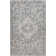 Oriental Indoor Rug