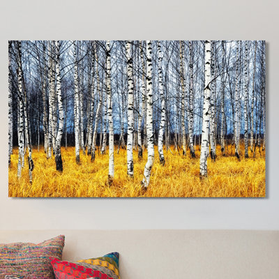 «Birch Trees 2», reproduction de photo sur toile tendue