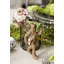 Chewbacca With Christmas Tree Ornament