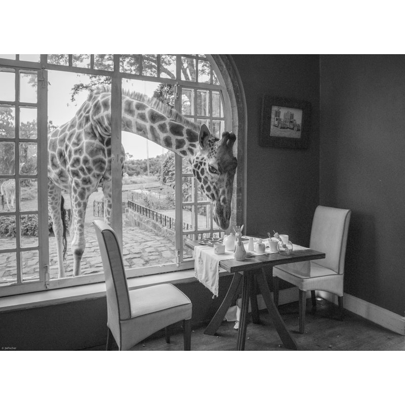 Wrapped Canvas Print, 60.96 cm H x 91.44 cm W