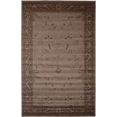 Soledad Oriental Indoor Rug