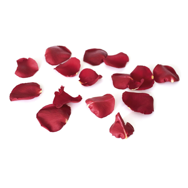 Rose Leaf by Sbayram - Print, 51cm H x 76cm W