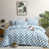 Blue/White Grid