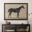 "Cheval noir noir classique, équitation, illustrations impressionnistes, décoration murale"-108570964