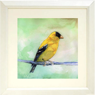 Chardonneret par Sean Parnell - reproduction d'art sur toile