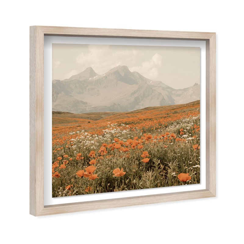 Orange Poppies Print by Oliver Gal, 13.5" H x 13.5" W, Natural Oak Shadowbox